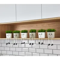 IRIS E5705 láblógató dekoráció művirággal cserépben 10x20cm #1