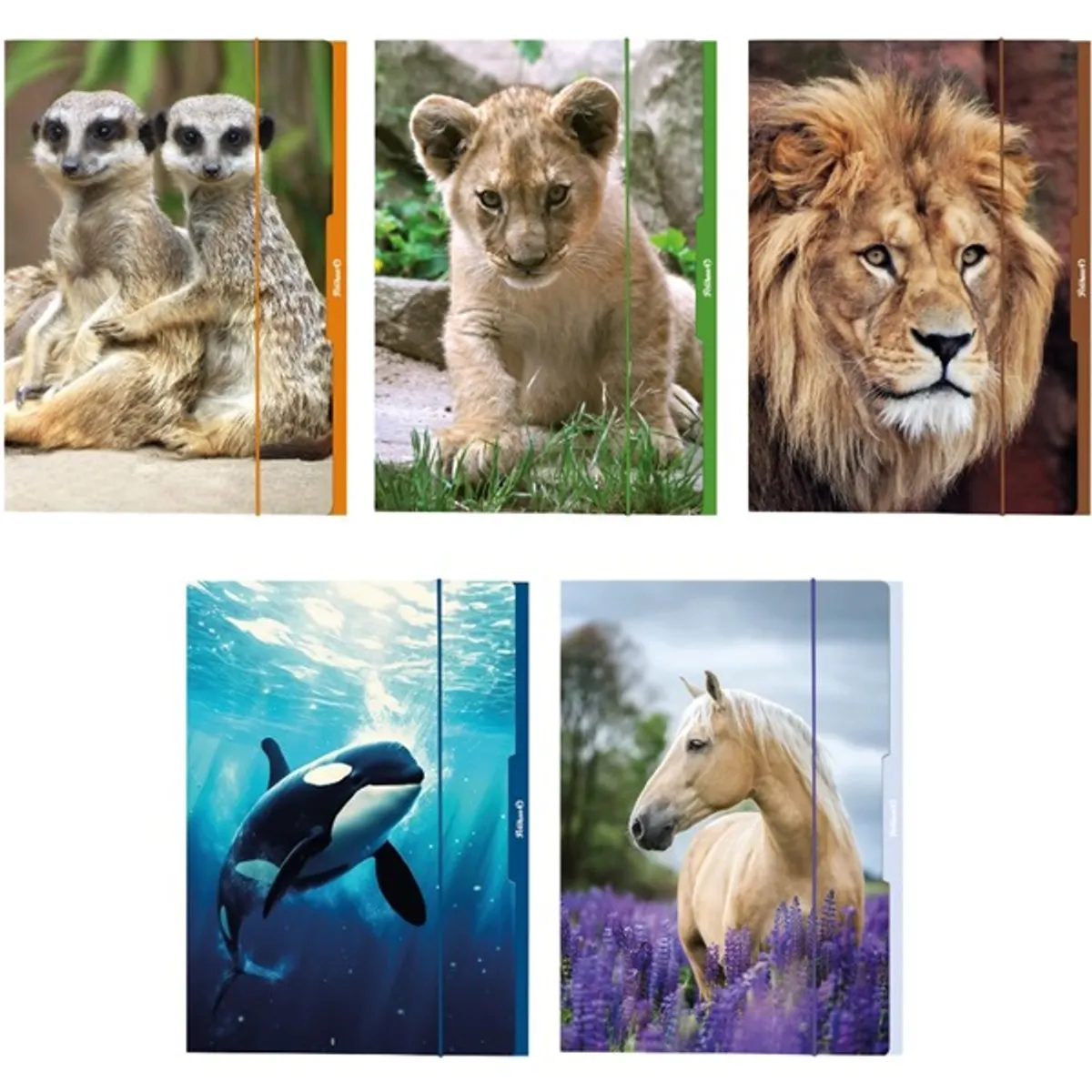 Herlitz Állatok A3 karton gumis mappa #1