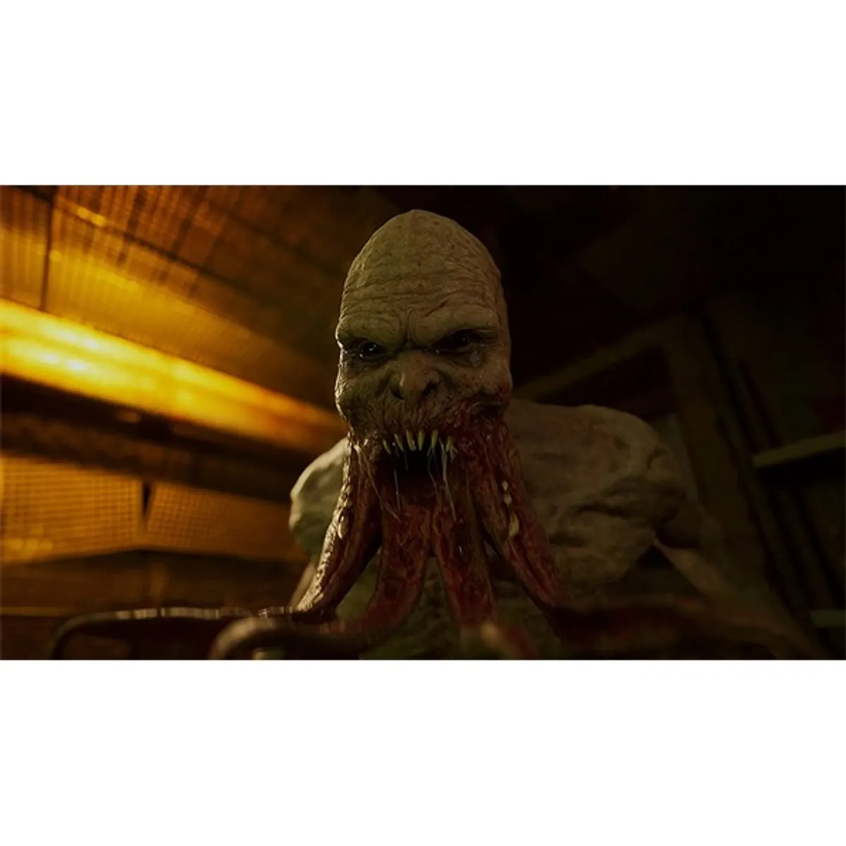 S.T.A.L.K.E.R. 2: Heart of Chornobyl Limited Edition Xbox Series X játékszoftver #5