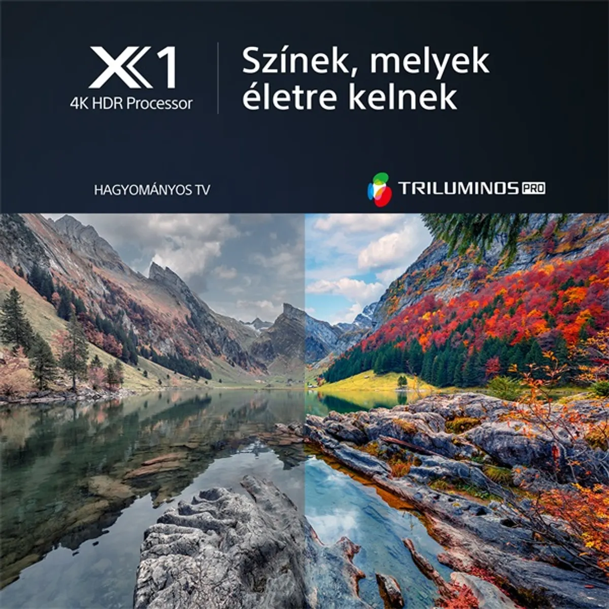 Sony 55" KD55X80LAEP 4K UHD Smart LED TV #2