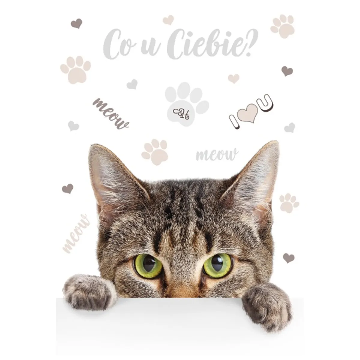 IRIS A4 irattartó mappa, különböző színekben és mintákkal, 230x315 mm #1