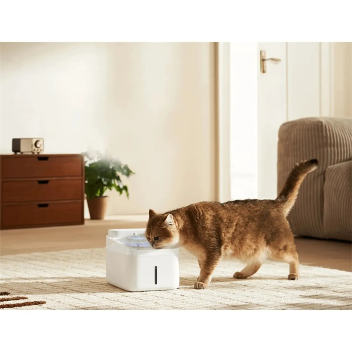 Xiaomi BHR9486EU Smart Pet Fountain 2 EU kisállat itatókút #6
