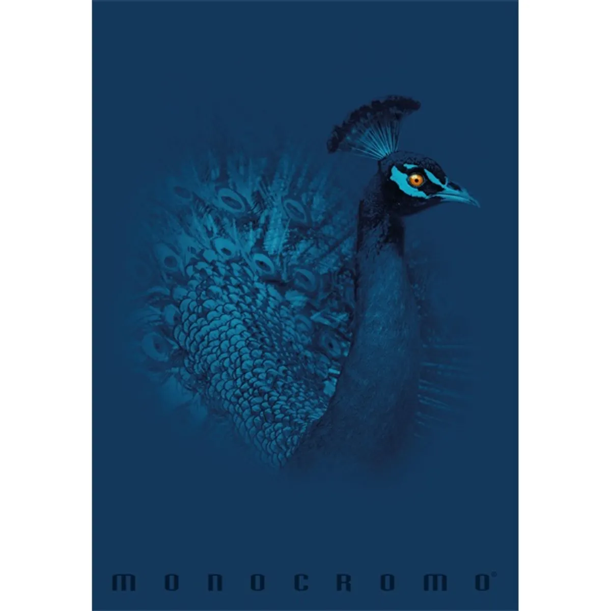 Pigna Monocromo Blue A4 tűzött 38 lapos kockás füzet #2