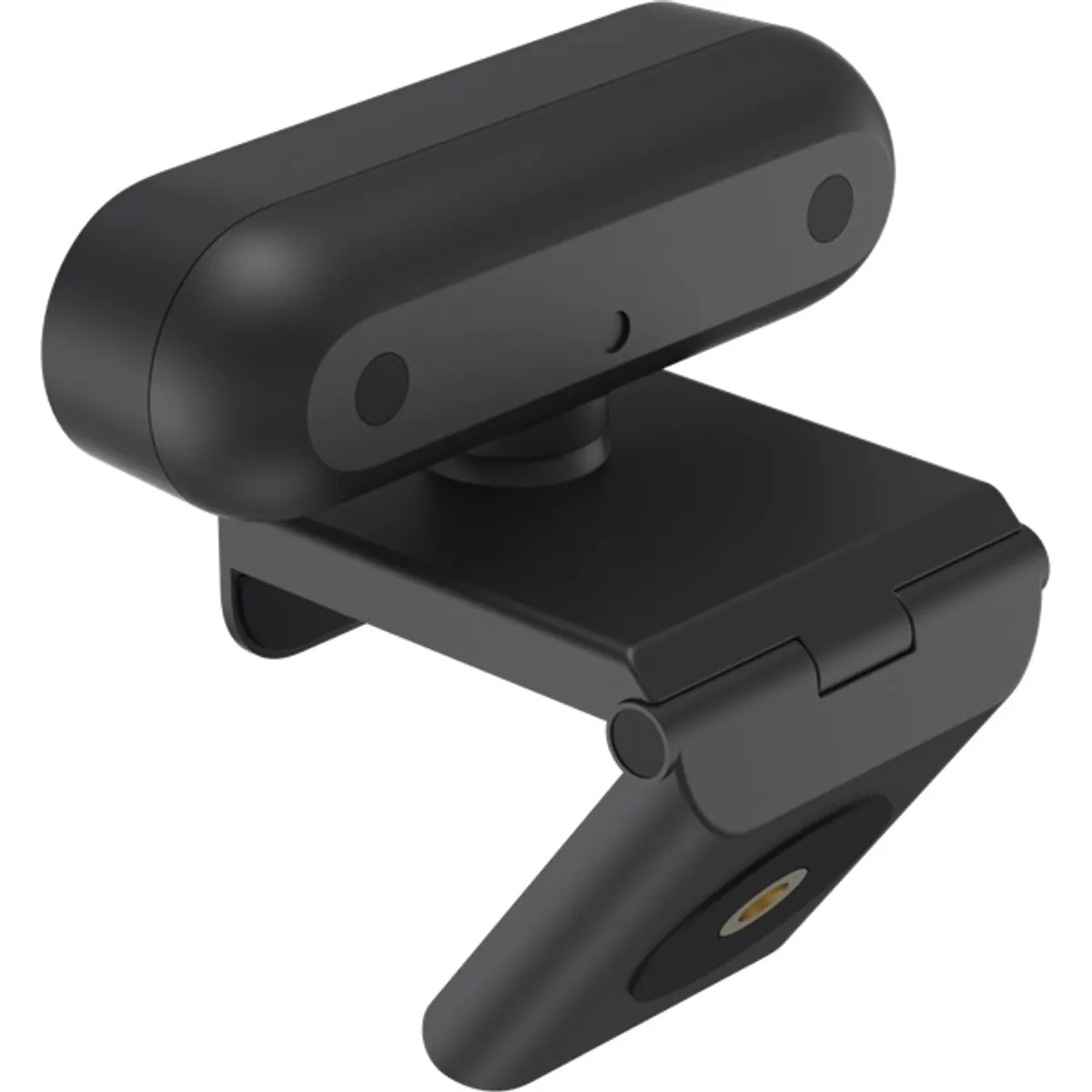 AVerMedia PW310P Full HD USB webkamera #2