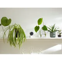 Google Nest Camera beltéri vezetékes Wi-Fi IP kamera #8