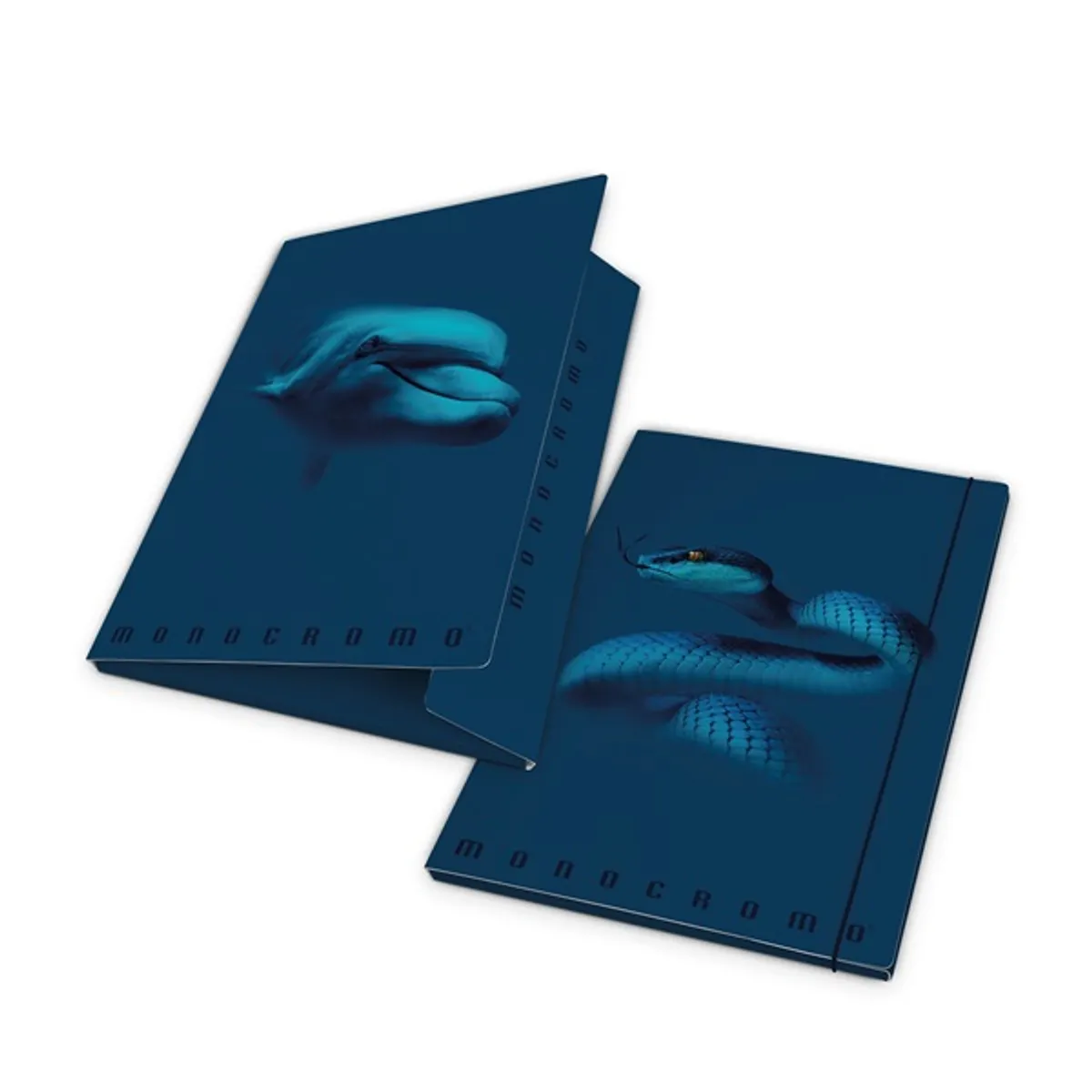 Pigna Monocromo Blue A4 karton gumis mappa #1