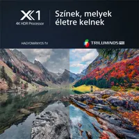 Sony 55" KD55X80LAEP 4K UHD Smart LED TV #2