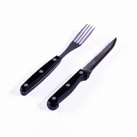 IRIS KT-192 8 db-os steak kés és villa készlet #2