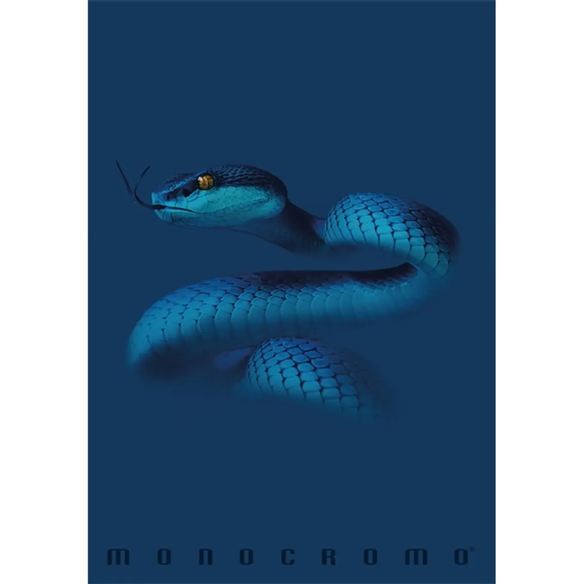 Pigna Monocromo Blue A4 tűzött 38 lapos vonalas füzet #4