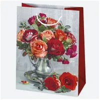 IRIS ajándéktasak, különböző színekben és mintákkal, 405x560x250 mm #4