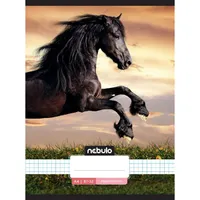 Nebulo L-Design A4 87-32 tűzött kockás füzet #7