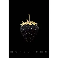 Pigna Monocromo Gold A4 tűzött 38 lapos vonalas füzet