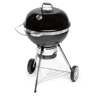 Fieldmann FZG 1017 faszenes grillsütő