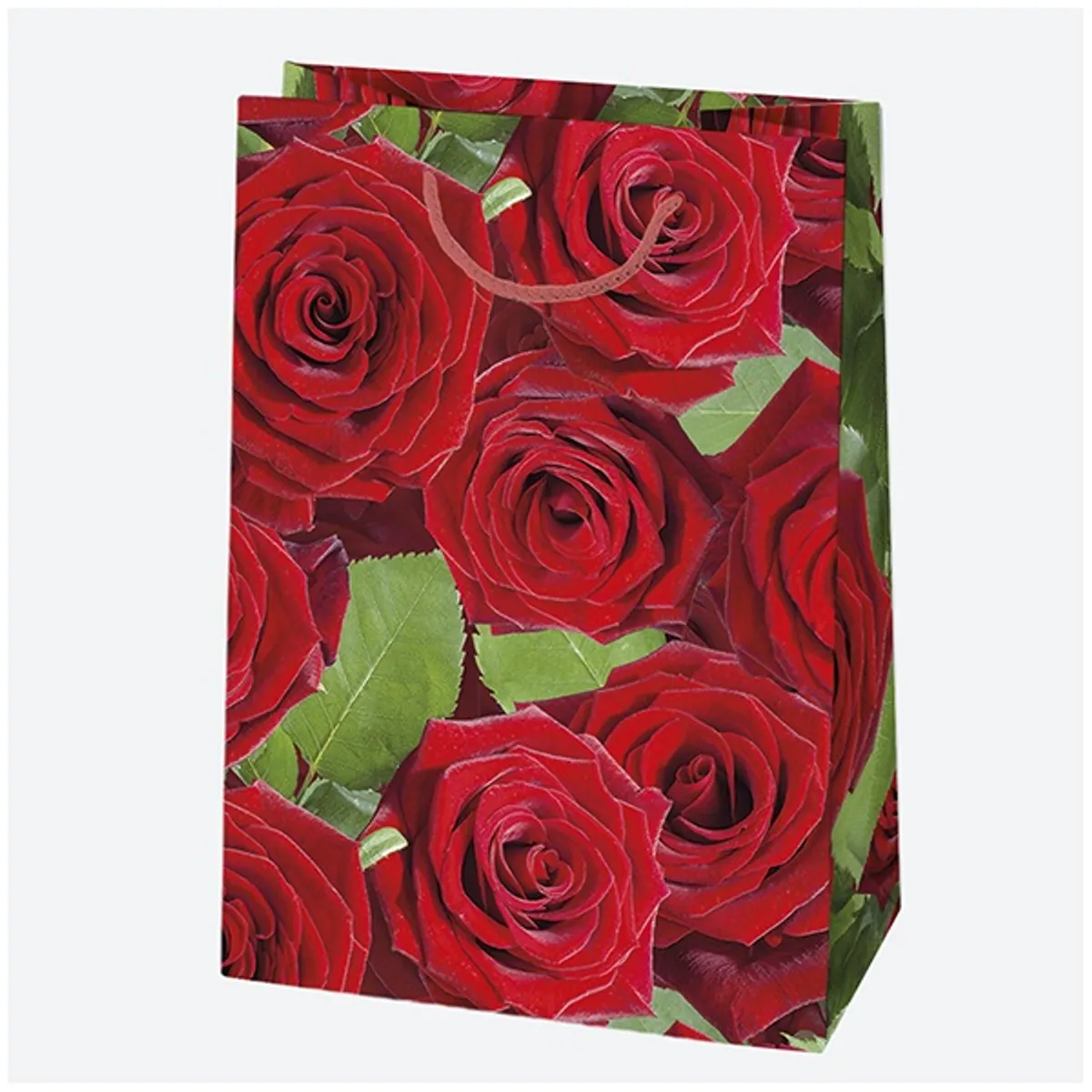 IRIS ajándéktasak, különböző színekben és mintákkal, 290x400x120 mm #1