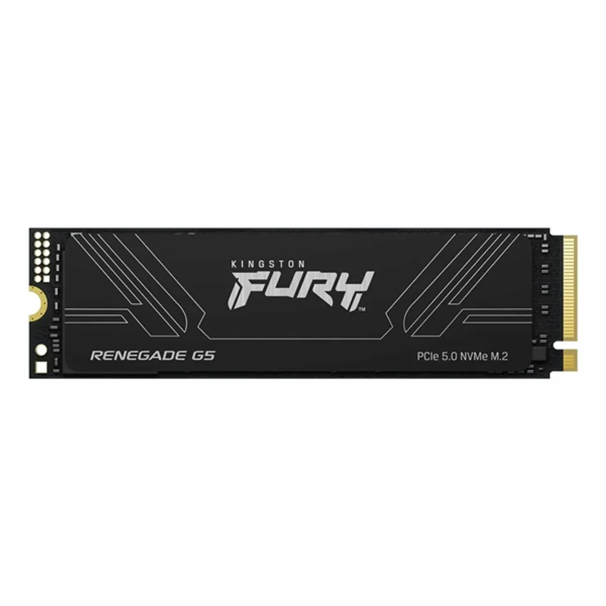 Kingston 1TB M.2 PCIe 5.0 FURY Renegade G5 (SFYR2S/1T0) SSD #1