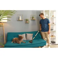 Hoover HP321PAF 011 porzsák nélküli porszívó #7