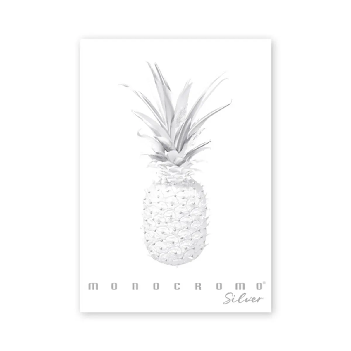 Pigna Monocromo Silver A4 38 lap, tűzött, vonalas füzet #1