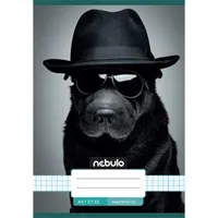 Nebulo Vagány minták II A5 27-32 tűzött kockás füzet #3