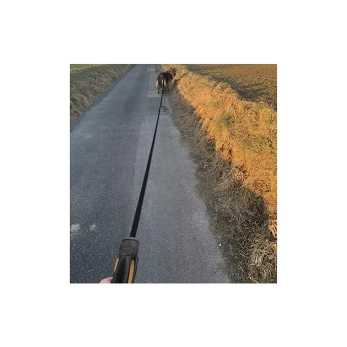 Automata kutyapóráz (5m/15kg) #8