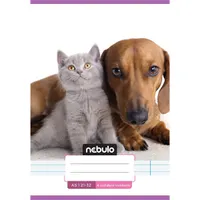 Nebulo Cuki minták I. A5 4. osztályos 21-32 tűzött vonalas füzet #2