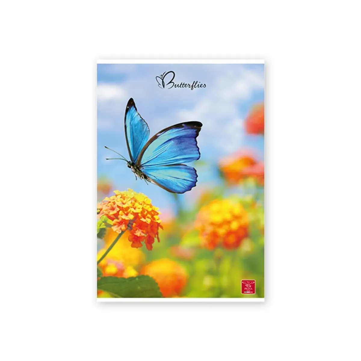 Pigna Butterflies A4 42 lap, tűzött, kockás füzet #7