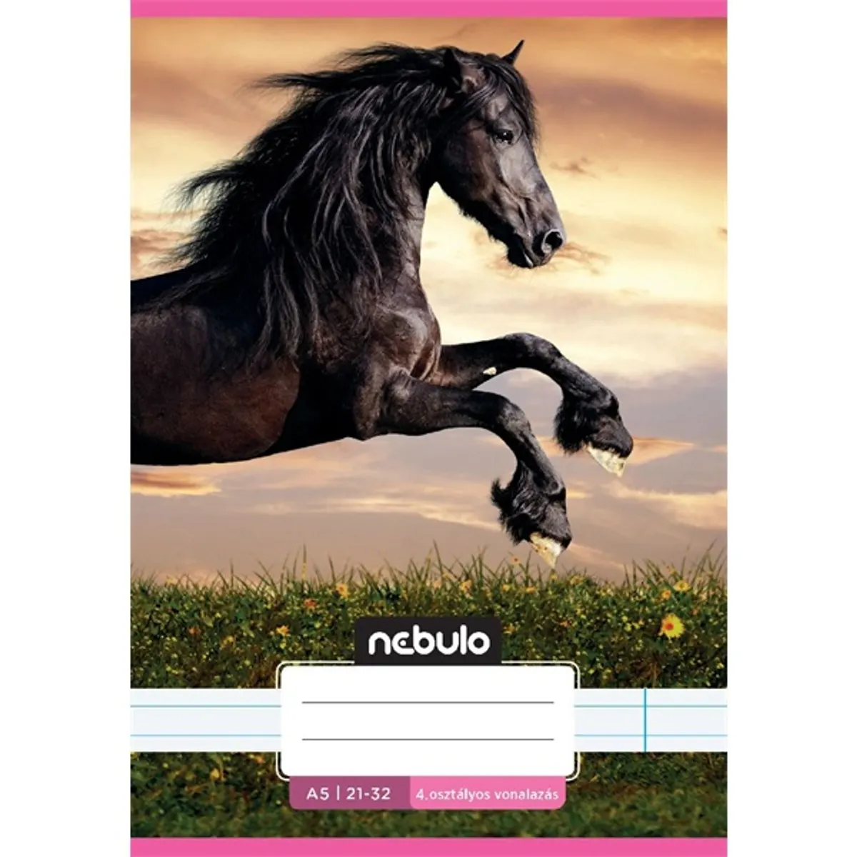 Nebulo Cuki minták II. A5 4. osztályos 21-32 tűzött vonalas füzet #2