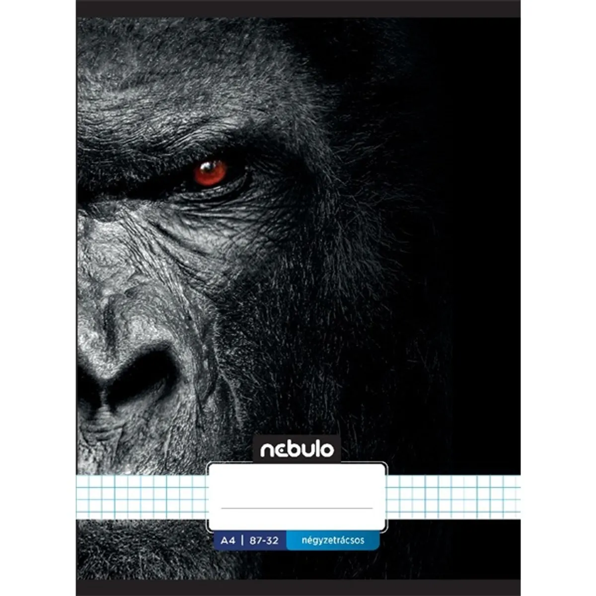 Nebulo Xtreme A4 87-32 tűzött kockás füzet #5
