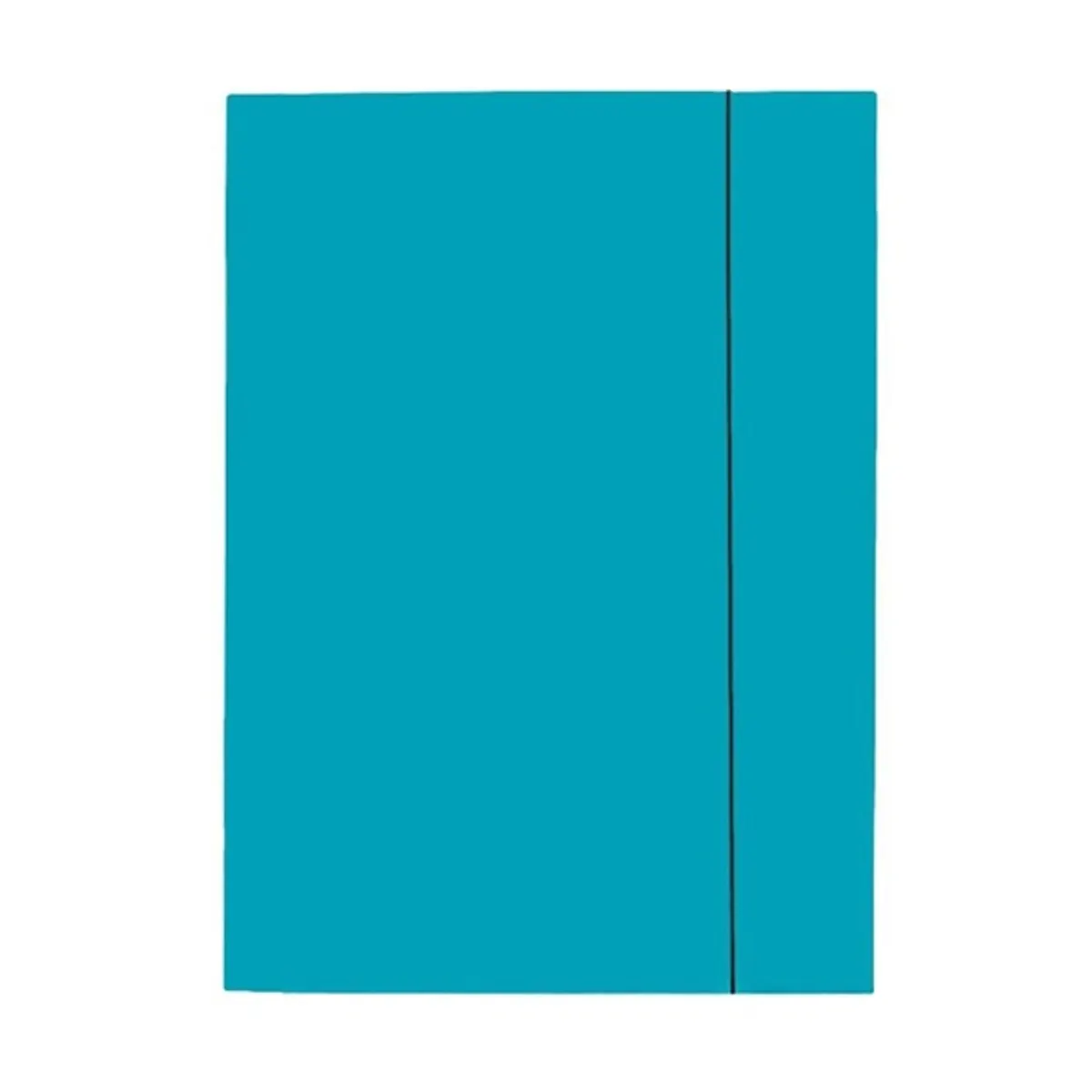 Esselte Economy A4 karton kék gumis mappa #1