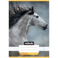 Nebulo Cuki minták A5 20-32 tűzött sima füzet #5