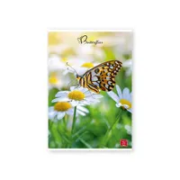 Pigna Butterflies A4 42 lap, tűzött, kockás füzet #2
