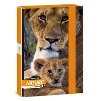 Ars Una Máté Bence-Lion 24 (5433) A5 füzetbox