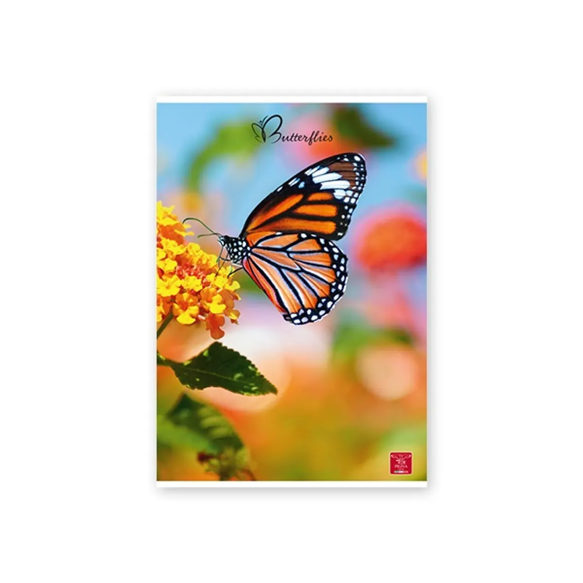 Pigna Butterflies A4 42 lap, tűzött, vonalas füzet #6