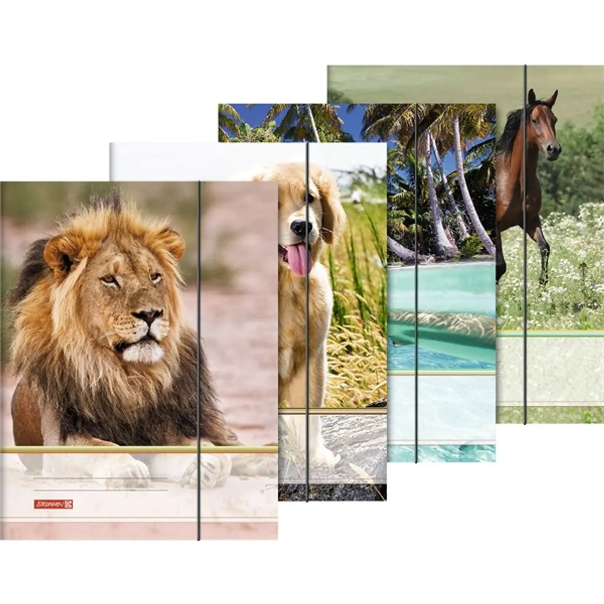 Brunnen állatok A4 gumis mappa #1