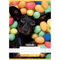 Nebulo Cuki minták A5 20-32 tűzött sima füzet #6