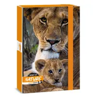 Ars Una Máté Bence-Lion 24 (5433) A4 füzetbox #1