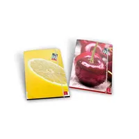 Pigna Fruits A4 gumis karton mappa #2