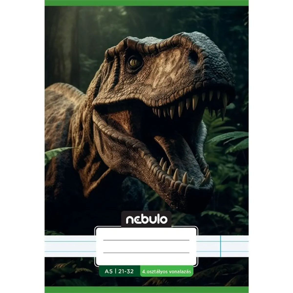Nebulo Vagány minták II.  A5 4. osztályos 21-32 tűzött vonalas füzet #8