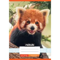 Nebulo Cuki minták II A5 27-32 tűzött kockás füzet #8