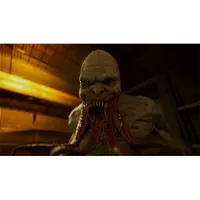 S.T.A.L.K.E.R. 2: Heart of Chornobyl Xbox Series X játékszoftver #5