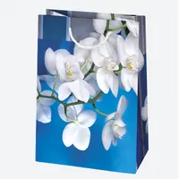 IRIS ajándéktasak, különböző színekben és mintákkal, 290x400x120 mm #2