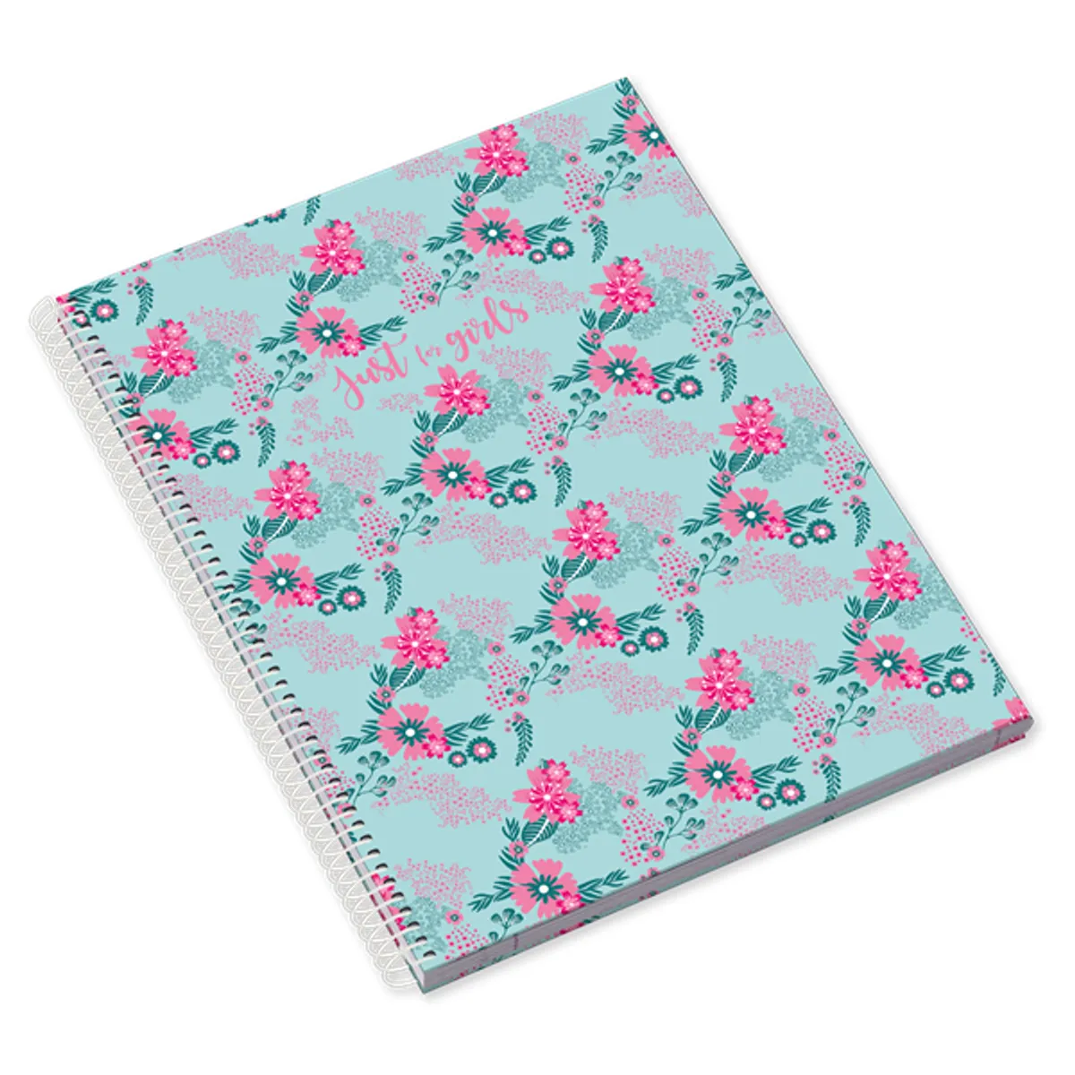 Ambar Just for Girls A4 80 lap vonalas spirálfüzet #1