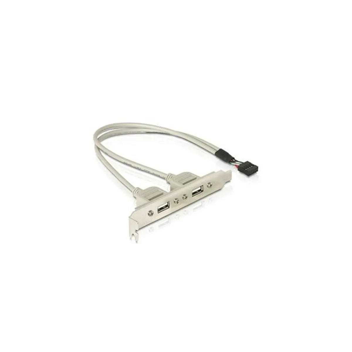 Delock 71000 Slot konzol 1x belső USB 9tűs > 2x USB2.0 külső #1