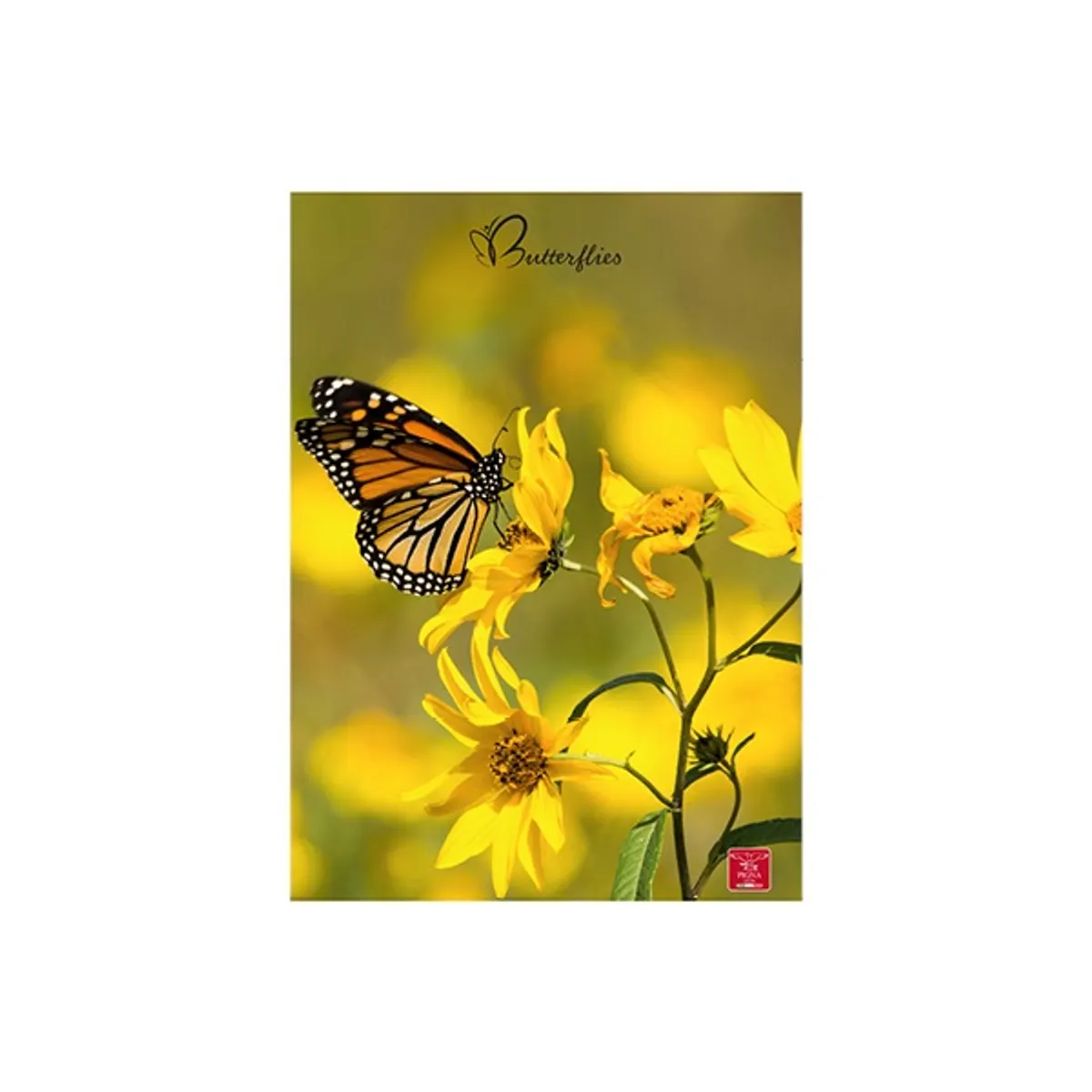 Pigna Butterflies A4 42 lap, tűzött, vonalas füzet #1