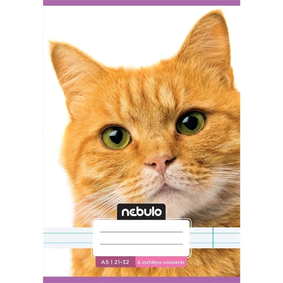 Nebulo Cuki minták I. A5 4. osztályos 21-32 tűzött vonalas füzet #8