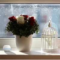 Shelly Temperature okos páratartalom és hőmérséklet mérő #5