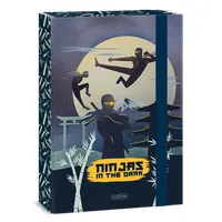 Ars Una Ninjas in the dark 25 (5457) A4 füzetbox #2