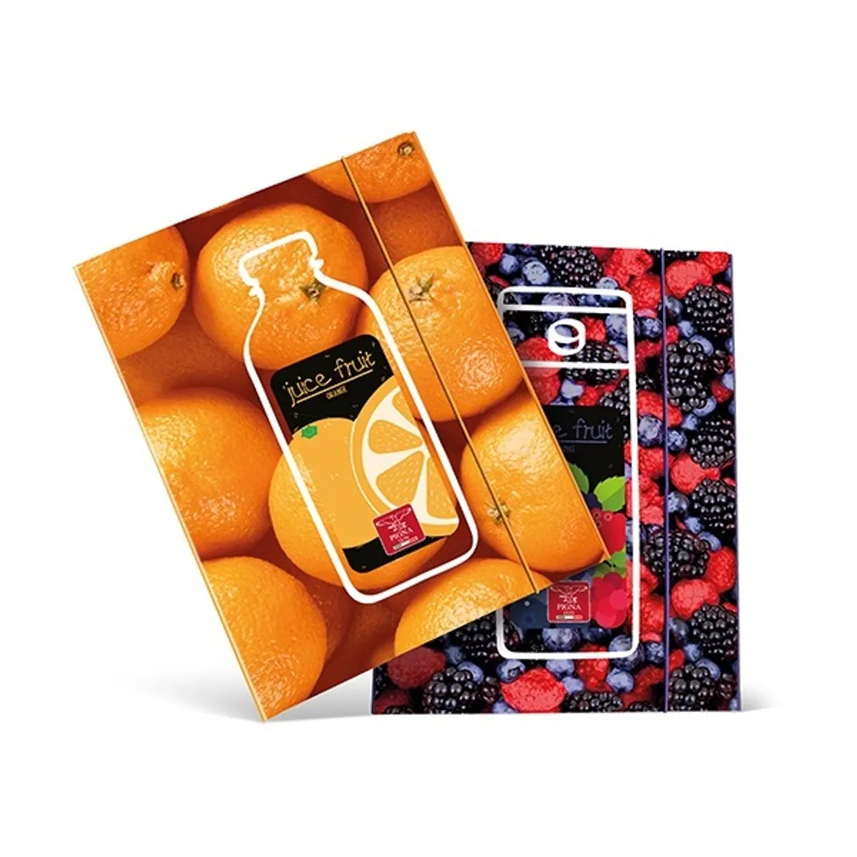 Pigna Fruits A4 gumis karton mappa #3