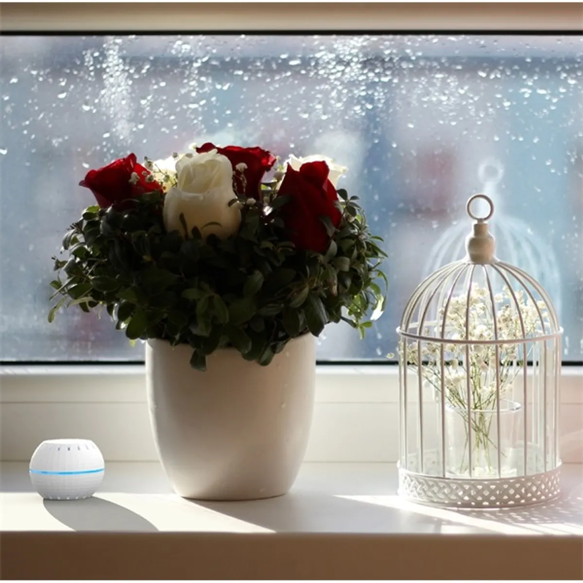 Shelly Temperature okos páratartalom és hőmérséklet mérő #5