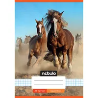 Nebulo Cuki minták II A5 27-32 tűzött kockás füzet #7