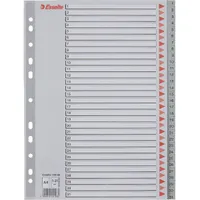 Esselte A4  1-31 műanyag regiszter
